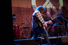 Woodstock_3029