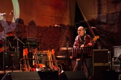Woodstock_3047